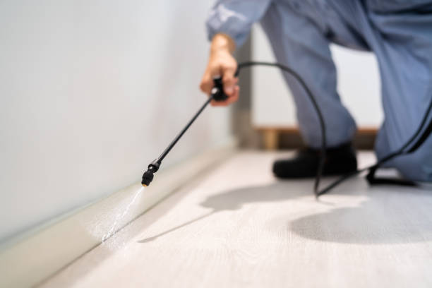 Bed Bug Pre-Treatment Preparation Assessment in Pine Island Center