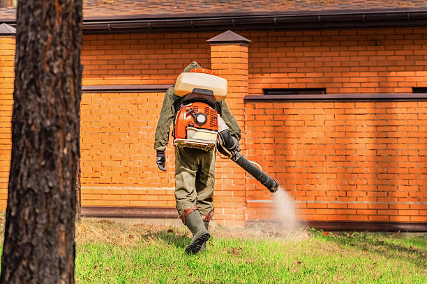 Bed Bug Clearance Verification and Documentation in Pine Island Center